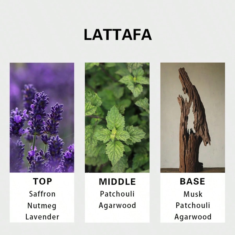 Lattafa Badee Al Oud For Glory – Perfume And Fragrance Bewertung und Preis