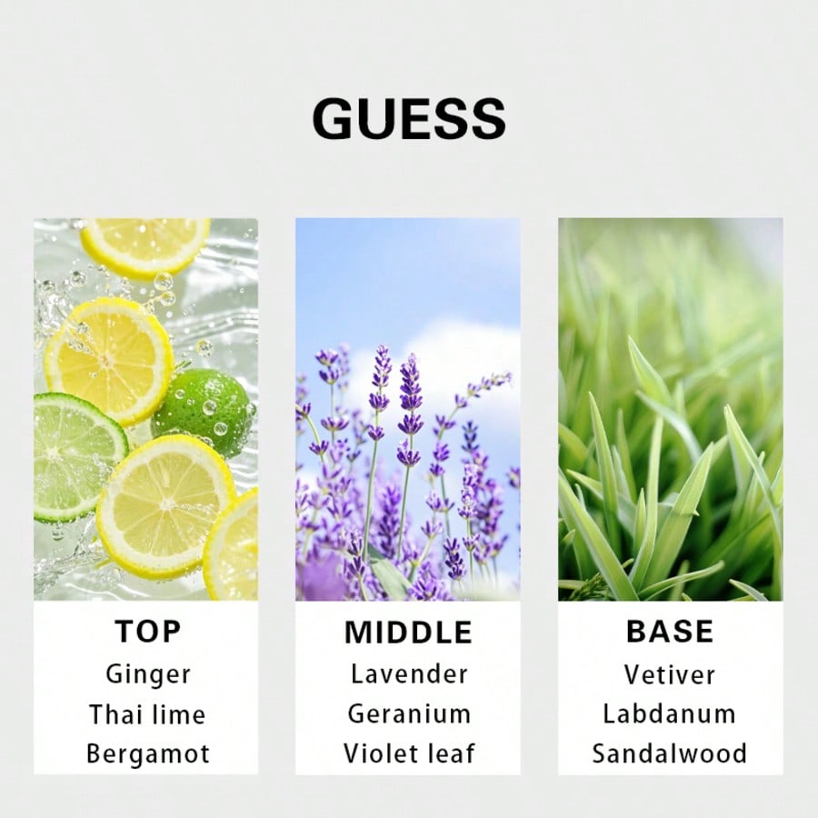 Guess Forever Herren Eau De To – Perfume And Fragrance Bewertung und Preis