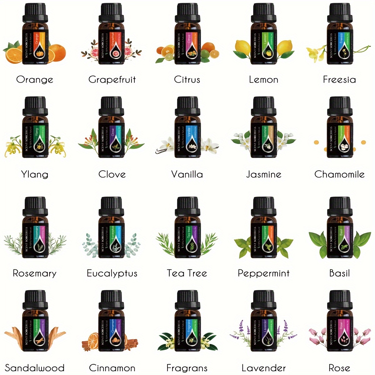 20-teiliges Set Klassisches Ma – Perfume Fragrance Oil Bewertung und Preis